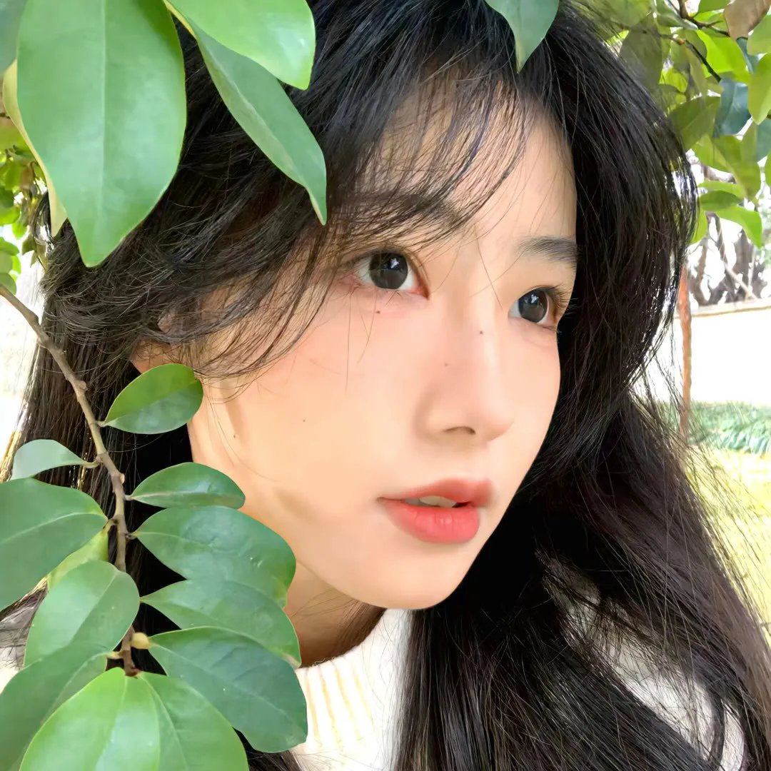 外交风云